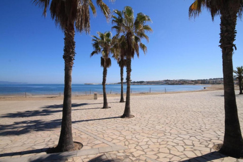 Palm trees and sandy beach at Nomad Paraiso in Spain, with blue sky, calm sea, and stone promenade.