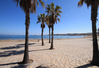 Palm trees and sandy beach at Nomad Paraiso in Spain, with blue sky, calm sea, and stone promenade.