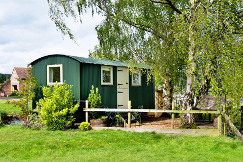 Cabina per glamping verde presso Hay and Hedgerow Glamping, immersa tra alberi e natura in una giornata di sole.