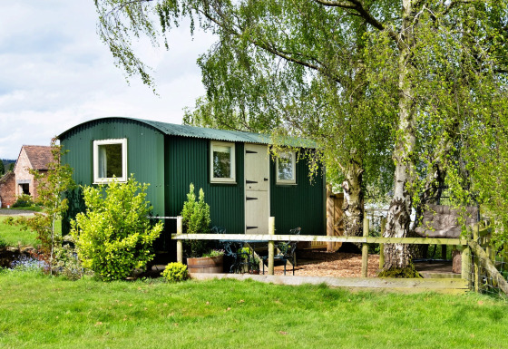 Cabina per glamping verde presso Hay and Hedgerow Glamping, immersa tra alberi e natura in una giornata di sole.