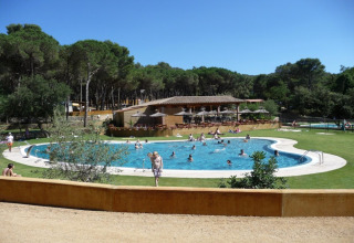 Zwembad met vakantiegangers aan Resort Begur 1 in Spanje, omringd door bos en zonnige faciliteiten.