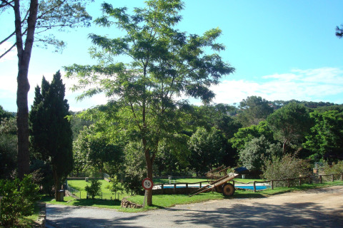 Landschap met bomen, een houten kar en de safaritent van Resort Begur 1 in Spanje onder heldere hemel.
