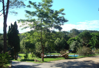 Grünes Naturgebiet mit Bäumen, Wiese und Wagen am Safari-Zelt Resort Begur 1 in Spanien an sonnigem Tag.
