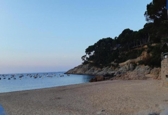 Vue d'une plage paisible avec des bateaux sur l'eau et des falaises boisées sous un ciel bleu.