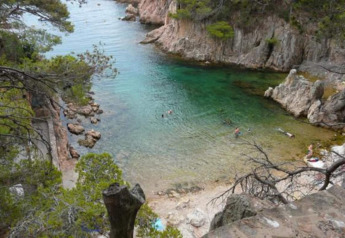 Une crique paisible à l’eau claire, avec nageurs, rochers et végétation, vue à travers les arbres.