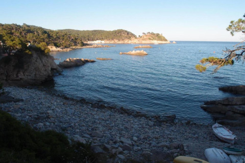 Vue sur une plage rocheuse et une mer calme, entourée de collines verdoyantes et d’arbres dispersés.