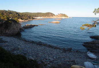 Vue sur une plage rocheuse et une mer calme, entourée de collines verdoyantes et d’arbres dispersés.