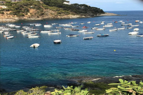Vue sur une baie avec de nombreux bateaux amarrés dans une eau bleue claire, collines en arrière-plan.
