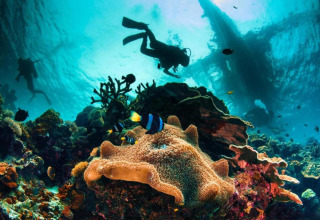 Scuba divers explore a vibrant coral reef underwater surrounded by colorful fish and corals in Spain.
