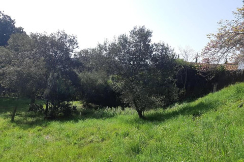 Groen grasveld en bomen onder heldere lucht bij Resort Begur 4, safaritent in Spanje.