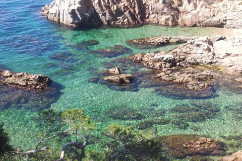Vue sur l'eau turquoise et rochers près du safari tente Resort « Begur 4 » en Espagne, végétation luxuriante.