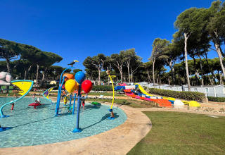 Børnevenligt vandland med farverige rutsjebaner og vandsprøjt, omgivet af træer ved Camping Interpals i Spanien.