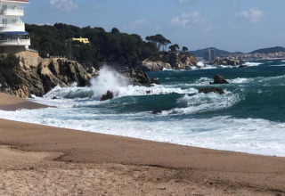 Udsigt over havet og klipperne ved Camping Interpals - Bungalow Sa Riera i Spanien med bølger, strand og træer.