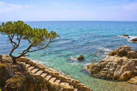 Stenstrin fører ned til det klare Middelhavsvand ved Camping Interpals-Bungalow Sa Riera i Spanien.