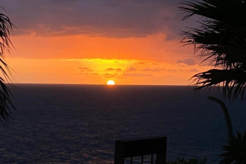 Zonsondergang boven zee vanaf Tamarit Park Resort 1 THALASSA in Spanje, met palmbomen op de voorgrond.