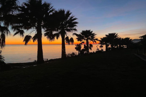 Solnedgang på stranden ved Tamarit Park Resort 1 THALASSA i Spanien med palmetræer i silhuet.