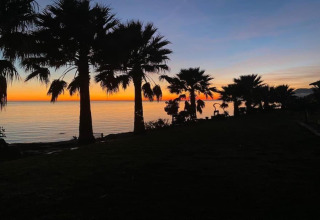 Zonsondergang op het strand bij Tamarit Park Resort 1 THALASSA in Spanje met silhouetten van palmbomen.
