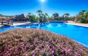 Piscine extérieure dans un hébergement glamping avec palmiers et fleurs violettes sous un ciel bleu.