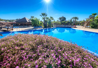 Piscine extérieure dans un hébergement glamping avec palmiers et fleurs violettes sous un ciel bleu.