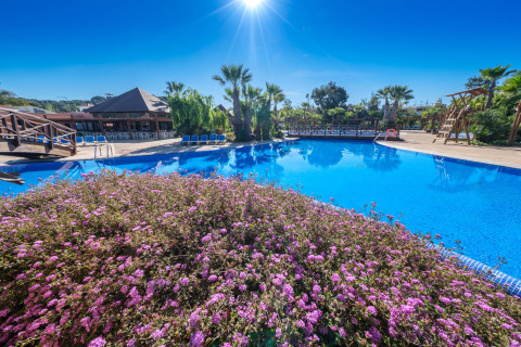 Buitenzwembad bij een glampingverblijf met palmbomen en paarse bloemen onder een helderblauwe hemel.
