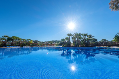 Ampia piscina all'aperto in un alloggio glamping di lusso, con palme e cielo soleggiato e sereno.