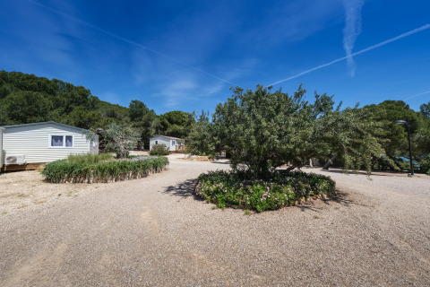 Camping Estival Torre de la Mora mit modernen Holzbungalows und grüner Vegetation unter blauem Himmel in Spanien.