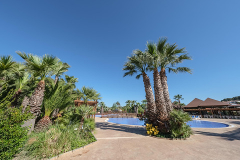 Buitenzwembad en palmbomen bij Camping Estival Torre de la Mora houten bungalow in Spanje, heldere hemel.