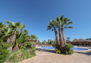 Buitenzwembad en palmbomen bij Camping Estival Torre de la Mora houten bungalow in Spanje, heldere hemel.