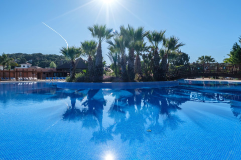 Piscina all'aperto con palme e sole in un glamping, circondata da lettini e un ponte di legno.