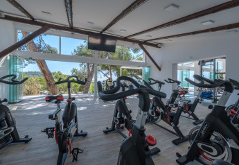 Fitnessraum mit vielen Spinningrädern und großen Fenstern mit Blick auf Bäume in einer Glamping-Unterkunft.