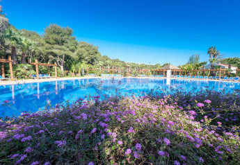 Grande piscine entourée de fleurs mauves, transats et arbres dans un cadre de glamping élégant.