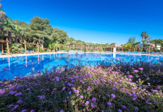 Swimmingpool tæt på blomster og liggestole i naturskønne omgivelser ved glamping indkvartering.