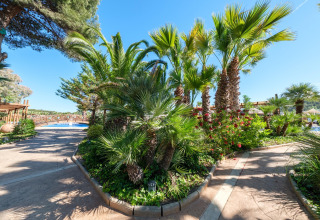 Stier med frodige palmer og en klar blå himmel ved Camping Estival Torre de la Mora COCO TENT i Spanien.