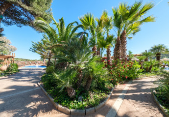 Weg mit Palmen und blauer Himmel am Camping Estival Torre de la Mora COCO TENT in Spanien.