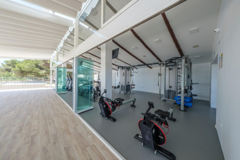 Heldere fitnesszaal met moderne toestellen bij glampingverblijf, grote ramen met zicht op de natuur.