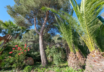Hébergement glamping entouré d’arbres luxuriants, de palmiers verts et de fleurs sous un ciel bleu clair.
