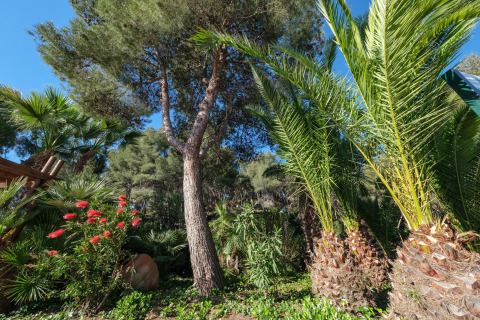 Glamping-Unterkunft inmitten üppiger Bäume, Palmen und bunter Blütenpflanzen unter blauem Himmel.
