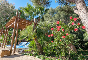 Espace glamping avec transats sous pergolas en bois, entouré de palmiers et d’arbustes fleuris.