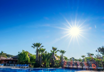 Journée ensoleillée à la piscine, palmiers et transats au Camping Estival Torre de la Mora COCO TENT 4 Pax en Espagne.