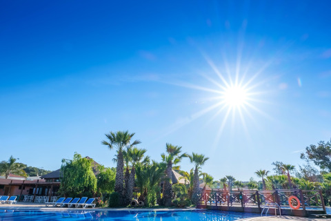 Solrig dag ved swimmingpoolen med palmer og liggestole på Camping Estival Torre de la Mora i Spanien.