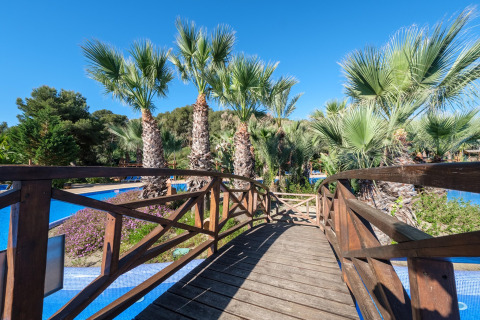 Ponte di legno sopra una piscina con palme sullo sfondo in un alloggio glamping in una giornata soleggiata.
