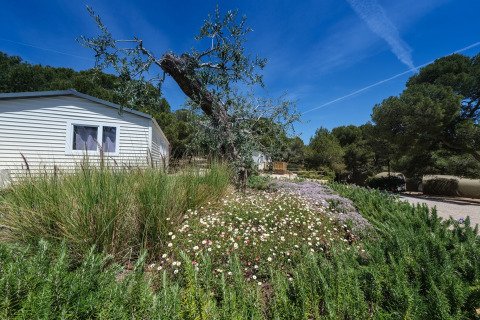 Bungalow in legno circondato da fiori e alberi al Camping Estival Torre de la Mora sotto cielo azzurro.