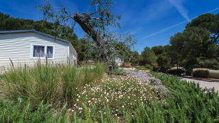 Bungalow en bois entouré de fleurs et d’arbres à Camping Estival Torre de la Mora sous ciel bleu.