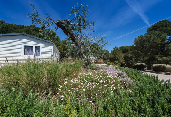Hytte omgivet af vilde blomster og grønne træer på Camping Estival Torre de la Mora under blå himmel.