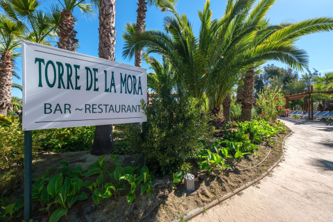 Indgang til Torre de la Mora bar-restaurant ved et luksuriøst glamping sted omgivet af palmer.