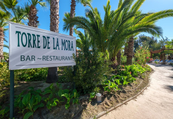Eingangsbereich des Torre de la Mora Bar-Restaurants an einer Glamping-Unterkunft mit Palmen.