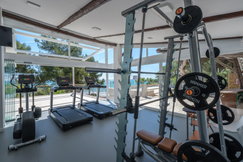 Moderne fitnesscenter med store vinduer, løbebånd og vægtløftningsudstyr, udsigt til skov og hav.