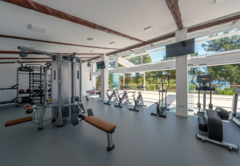 Salle de gym moderne dans un hébergement glamping avec vue sur la forêt et équipements de fitness.