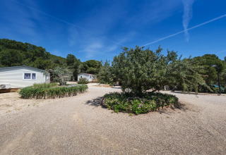Udsigt over Camping Estival Torre de la Mora COCO TENT 4 Pax i Spanien med mobilehomes og frodige træer.