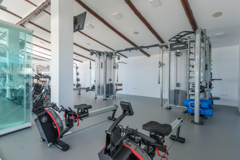 Palestra moderna in una sistemazione glamping con vogatori, stazione pesi e molta luce naturale.
